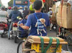 车展上疲惫的车模小姐姐累的睡着了，真是惹人怜!