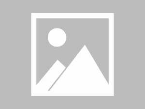 成年人之间也能很幼稚