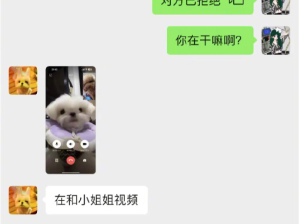 假如小狗有是种什么体验？啊啊啊修勾拯救世界！