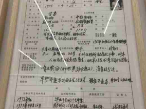 这样的简历谁敢写，哈哈哈哈哈哈离谱了