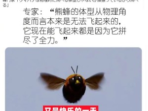 45岁开劳斯莱斯的阿姨和25岁开大众的女孩，你选哪一个？