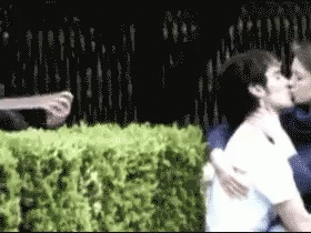 叫你们公共场合秀恩爱